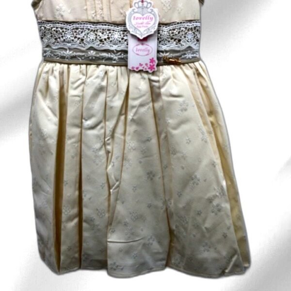 Ivory Embroidered Sleeveless Dress